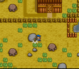 Harvest Moon screen shot 3 3