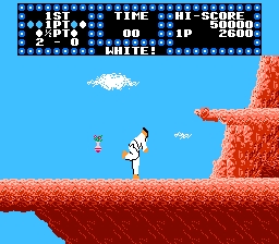 Karate Nes